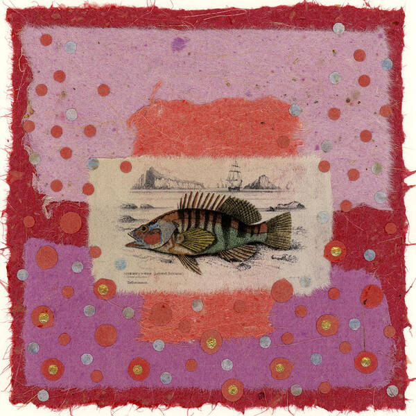 Fish Poster featuring the mixed media Fiesta Fish Collage by Carol Leigh