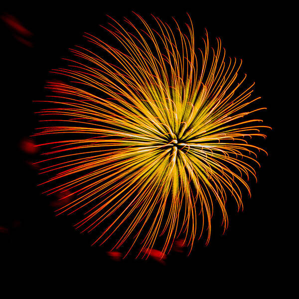 Burst Poster featuring the photograph Fireworks 7 by Paul Freidlund