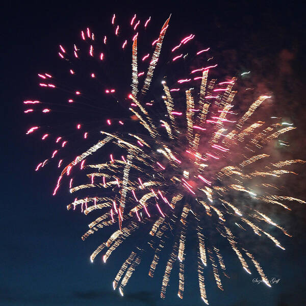 July Poster featuring the photograph Fireworks Series XIII by Suzanne Gaff