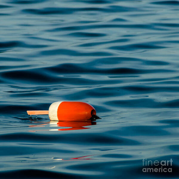 Lobster Buoy Poster featuring the photograph Floating by Tamara Becker