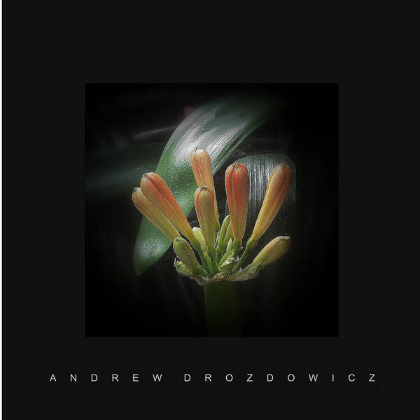 Flowers Poster featuring the photograph Flora 1 by Andrew Drozdowicz