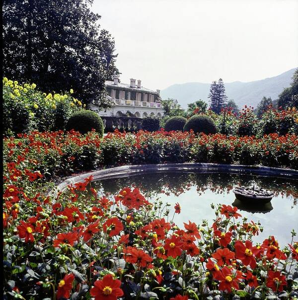 Architecture Flowers Garden 1960s Style Italy Western Europe Europe Villa Agnelli Piedmont Outdoors Daytime Nobody Residence House Dwelling Marella Agnelli Topiary Landscape Architecture Plants Ornamental Garden Fountain Water Motion Flower Red Building Exterior Building Facade Tree Reflection #condenastvoguephotograph #condenastvoguephotograph October 1st 1967 Poster featuring the photograph Fountain In Villa Agnelli Garden by Horst P. Horst
