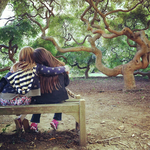 Child Poster featuring the photograph Friends Under Tree Canopy by Cyndi Monaghan