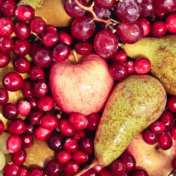 Abstract Poster featuring the photograph Fruit by Tom Gowanlock