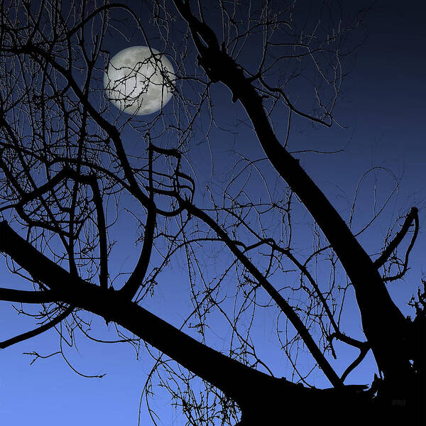 Tree Top Poster featuring the photograph Full Moon And Black Winter Tree by Ben and Raisa Gertsberg