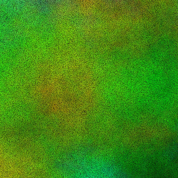 Abstract Poster featuring the photograph Furry Green Texture Background by Valentino Visentini