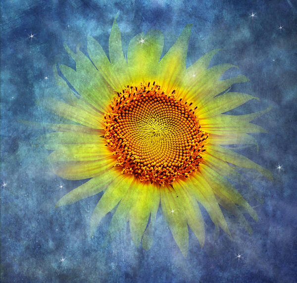 Yellow Sunflower Poster featuring the photograph Galactic Bloom by Marina Kojukhova