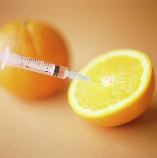 Orange Poster featuring the photograph Genetic Modification Of An Orange by Cristina Pedrazzini/science Photo Library