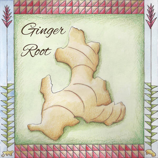 Ginger Root Poster featuring the painting Ginger Root by Christy Beckwith