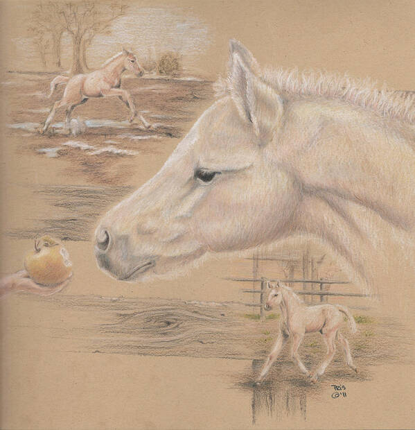 Horse Poster featuring the drawing Golden Delicious by Pris Hardy