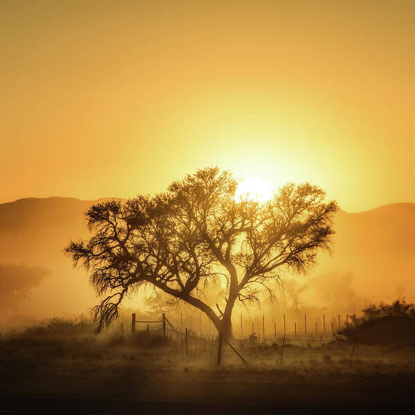 Landscape Poster featuring the photograph Golden Sunrise by Piet Flour