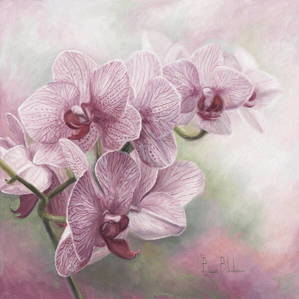 Orchids Poster featuring the painting Graceful Orchids by Lucie Bilodeau