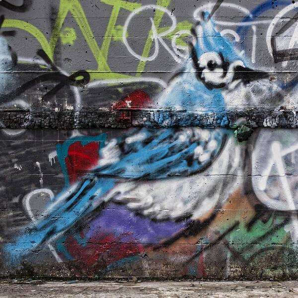 Graffiti Poster featuring the photograph Graffiti Bluejay by Carol Leigh