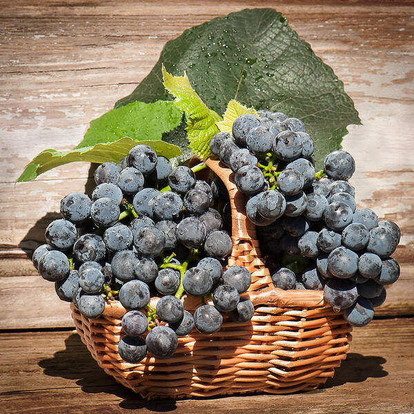 Grapes Poster featuring the photograph Grapes And Leaves In Basket by Len Romanick