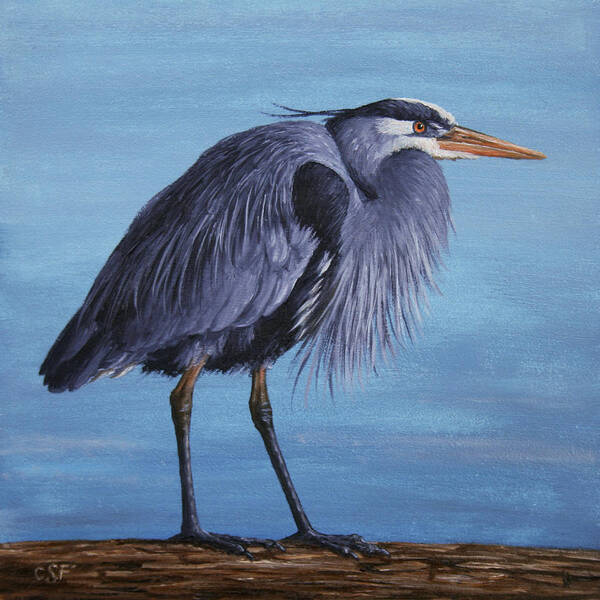 Bird Poster featuring the painting Great Blue Heron by Crista Forest