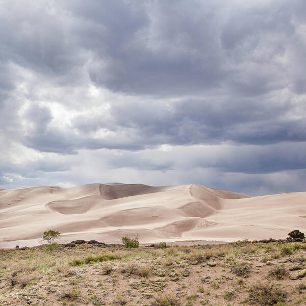 Scenics Poster featuring the photograph Great Sand Dunes National Park by Adrian Studer
