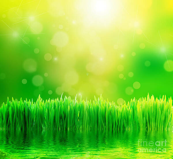 Green nature background with fresh grass Poster by Michal Bednarek - Fine  Art America