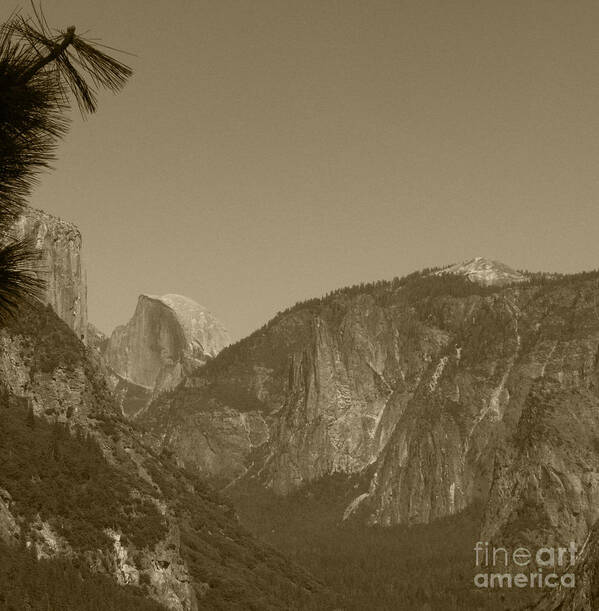Yosemite National Park Poster featuring the photograph Half Dome in Distance sepia by Mini Arora