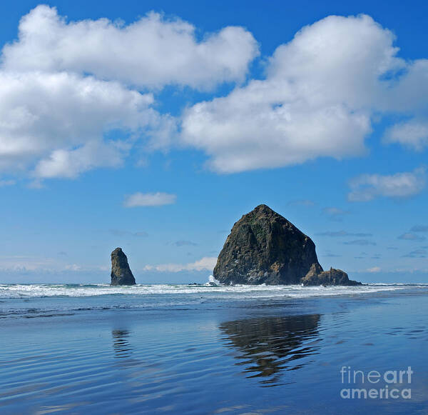 Beach Poster featuring the photograph Haystack Rock by Marv Vandehey