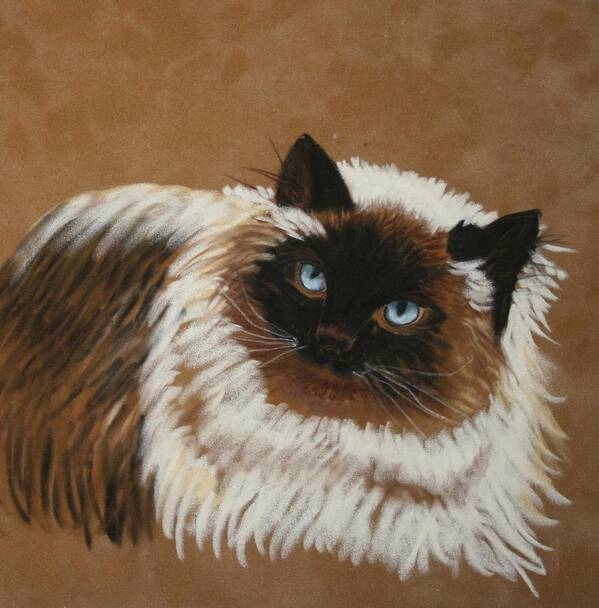 Cats Poster featuring the pastel Himalayan by Michele Turney