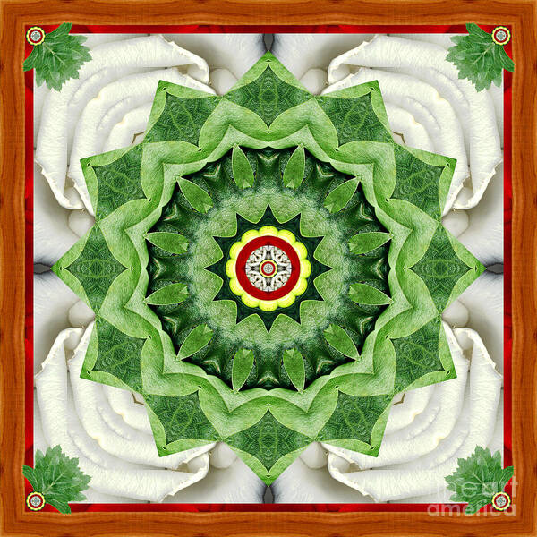 Mandalas Poster featuring the photograph Holy Days by Bell And Todd