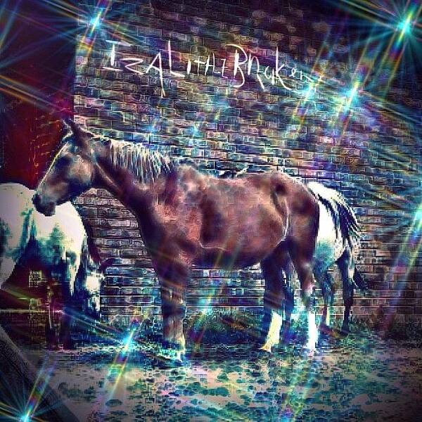 Beautiful Poster featuring the photograph Horses And Stuff By Izalittlebroken by Stuart Johns