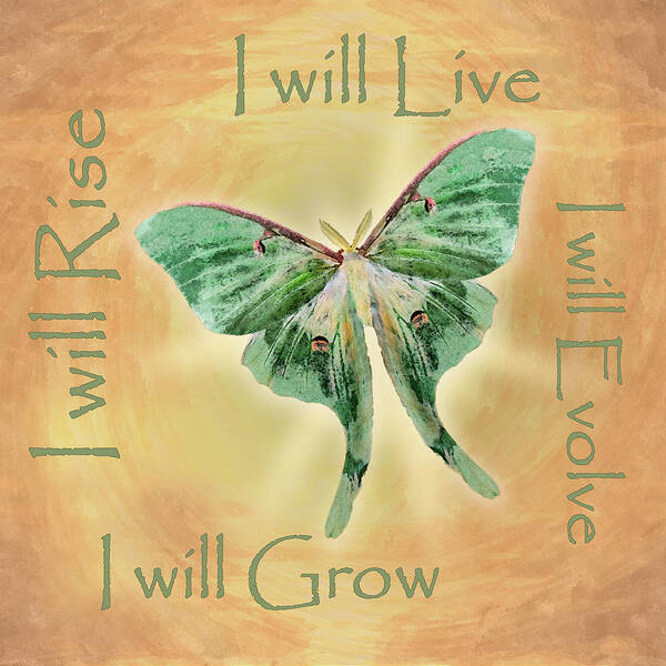 Moth Poster featuring the digital art I Will by Deborah Smith