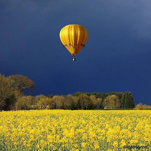  Poster featuring the photograph I’ve Added A Contact Form To My by Cameron Bentley