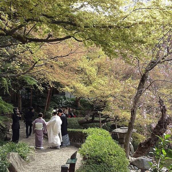 Japan Poster featuring the photograph #japan#garden#landscape
Happyday by Tokyo Sanpopo