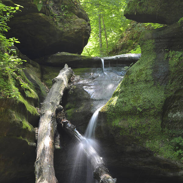 Starved Rock Poster featuring the photograph Kaskaskia Canyon Falls Cascasde by Forest Floor Photography