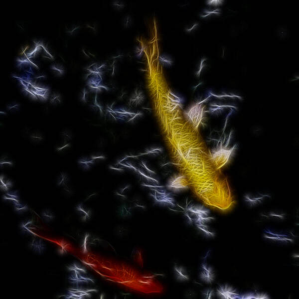Koi Poster featuring the photograph Koi Fish in Pond by Bill Barber