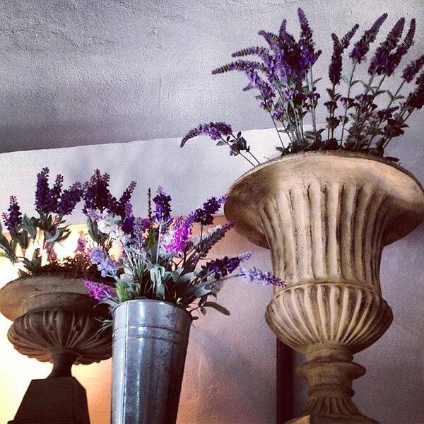 Decorative Poster featuring the photograph Lavanda vases by Tatiana Alves