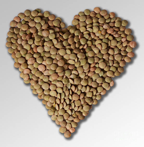 Brown Lentil Poster featuring the photograph Lentil In Heart Shape by Gwen Shockey