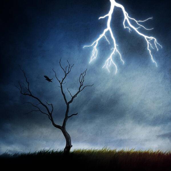 Creative Edit Poster featuring the photograph Lightning Tree by Sebastien Del Grosso