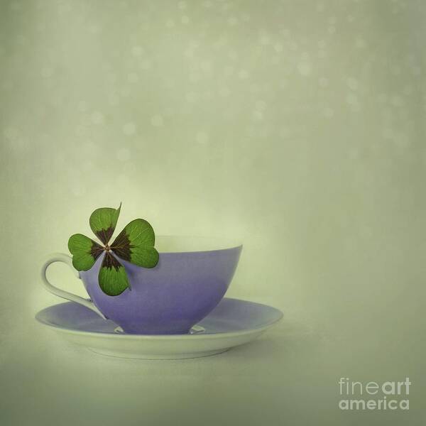 Still Life Poster featuring the photograph Little Luck by Priska Wettstein