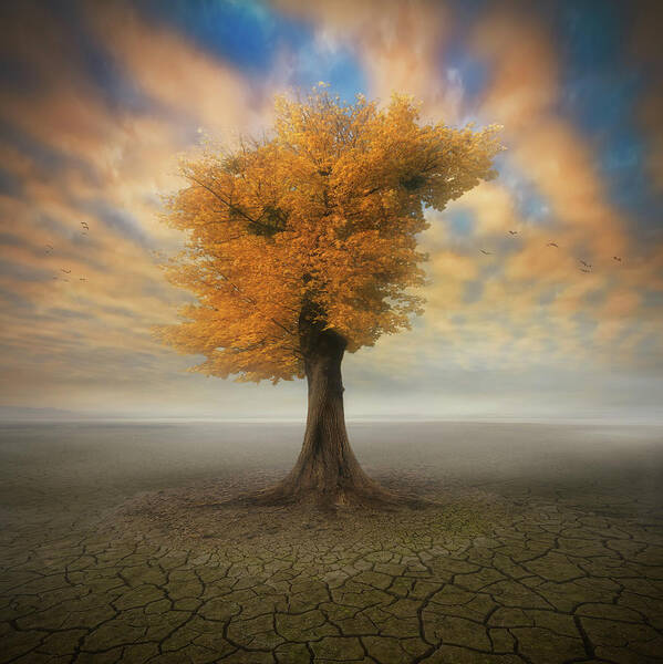 Tree Poster featuring the photograph Lonesome by Piotr Krol (bax)