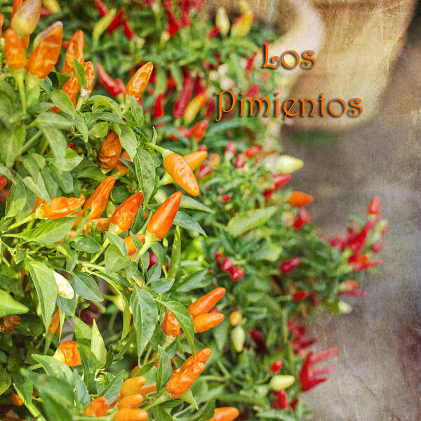 Peppers Poster featuring the photograph Los Pimientos by Marianne Campolongo