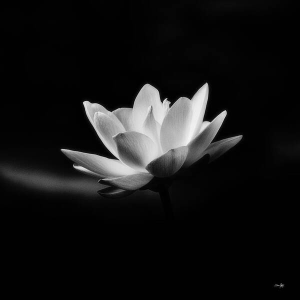 Black&white Poster featuring the photograph Lotus - square by Scott Pellegrin