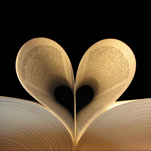 Book Poster featuring the photograph Love Reading II by Illusorium Illustration