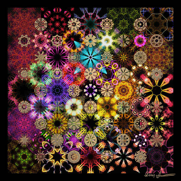Floral Poster featuring the digital art Luminiscent Kaleidoctogarden by Ann Stretton
