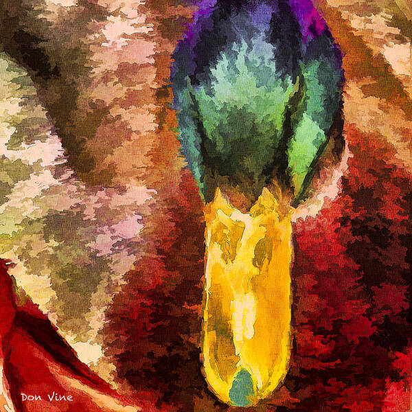 Abstract Poster featuring the photograph Mallard Patterns by Don Vine