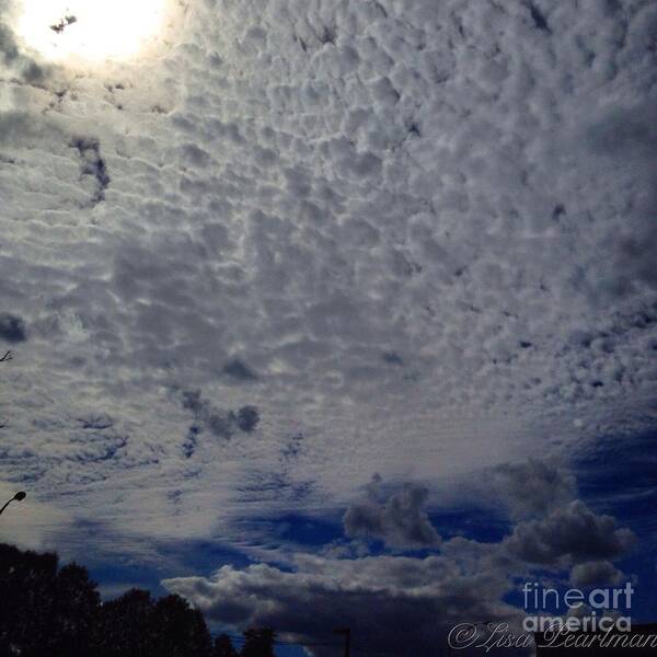 Clouds Poster featuring the photograph Marshmallow Clouds by Lisa Pearlman