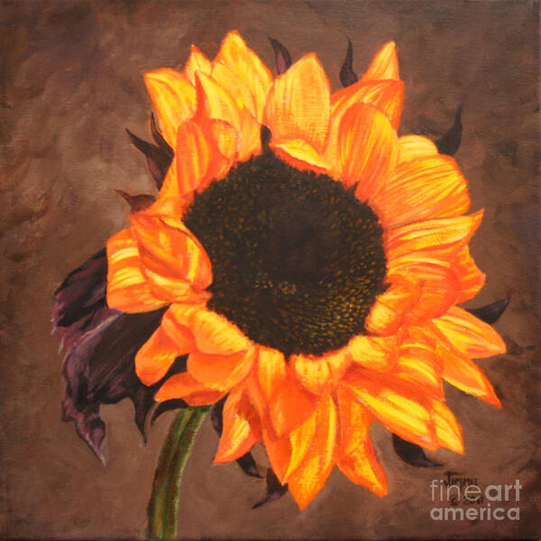 Mexican Sunflower Poster featuring the painting Mexican Sunflower by Jimmie Bartlett