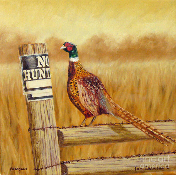 Pheasant Poster featuring the painting No Hunting  Pheasant by Tom Chapman