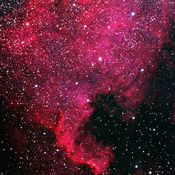 North American Nebula Poster featuring the photograph North American Nebula by Alan Vance Ley