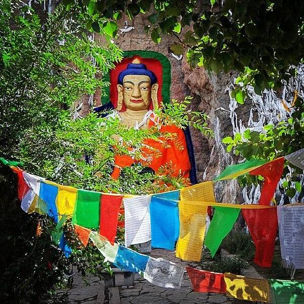 Buddhism Poster featuring the photograph Nyetang Buddha And Prayer Flags by Hitendra SINKAR