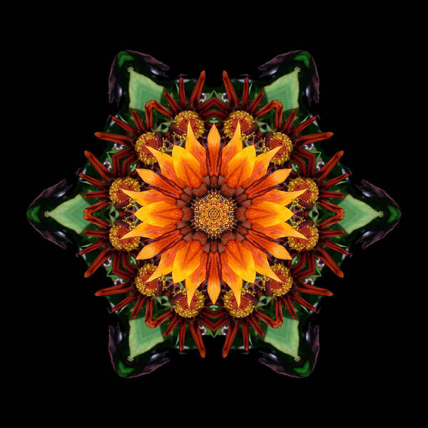 Flower Poster featuring the photograph Orange Gazania III Flower Mandala by David J Bookbinder