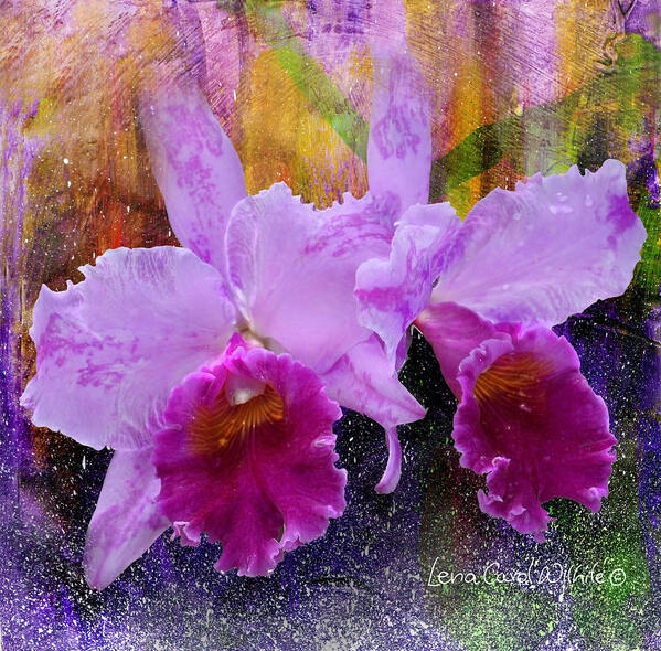 Nature Poster featuring the photograph Orchids For Easter by Lena Wilhite