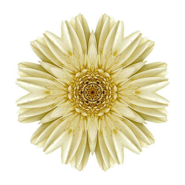 Flower Poster featuring the photograph Pale Yellow Gerbera Daisy III Flower Mandala White by David J Bookbinder