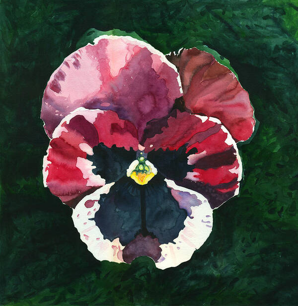 Pink Poster featuring the painting Pansy Red by Katherine Miller